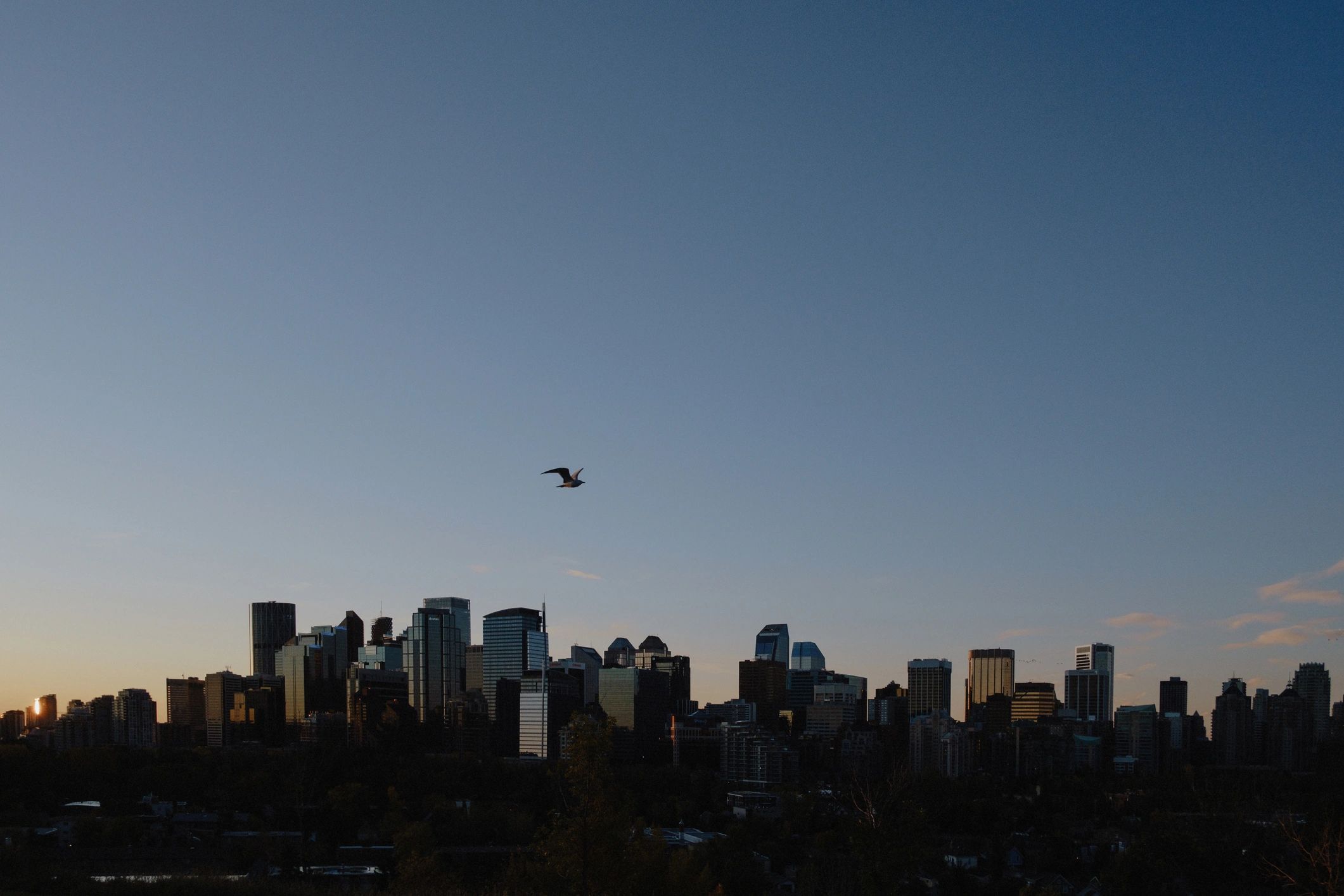 Calgary skyline at sunrise